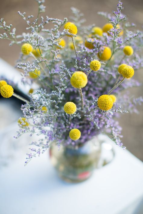 Billy Buttons Bouquet, Billy Balls Wedding, Lavender Wedding Centerpieces, Lavender Centerpieces, Yellow Wedding Theme, Bright Wedding Flowers, Billy Balls, Modern Wedding Flowers, Billy Buttons