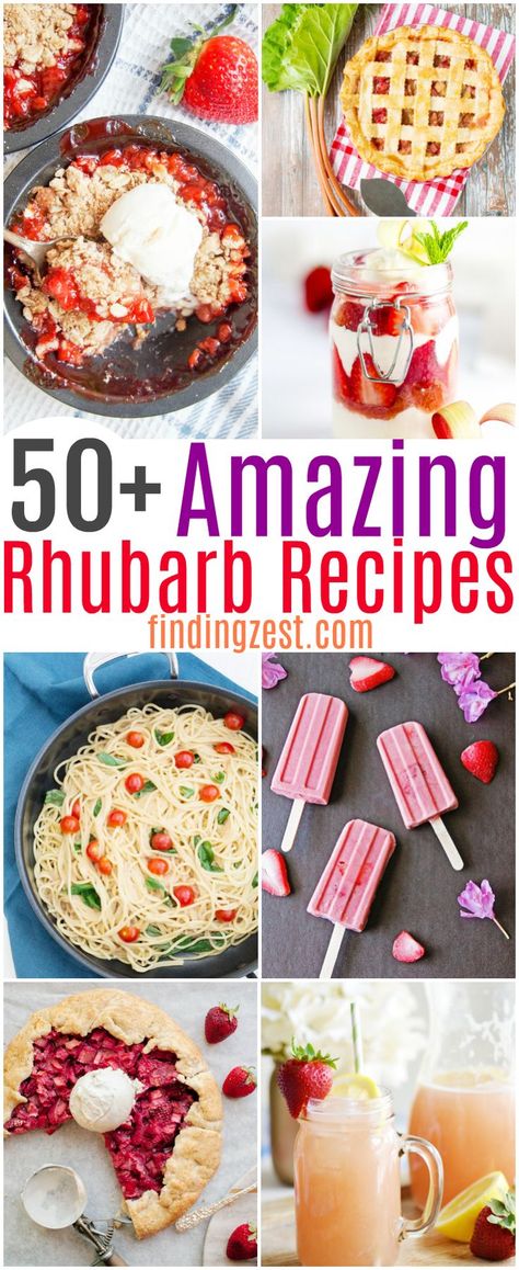 Not sure what to do with all that rhubarb you harvest? Get over 50 rhubarb recipes worth making during rhubarb season! These are the the best rhubarb recipes. From classic rhubarb desserts to healthy rhubarb recipes, this list has everything you need to use up that rhubarb! #rhubarb #recipes #foodie #dessertrecipes #dessert #baking #cooking #dessert #dinnerrecipes #dinner #nobake #brunch What To Make With Rhubarb, What To Do With Rhubarb, Healthy Rhubarb Recipes, Herb Ideas, Rhubarb Rhubarb, Best Rhubarb Recipes, Cabin Food, Saskatoon Berry, Hobby Farming