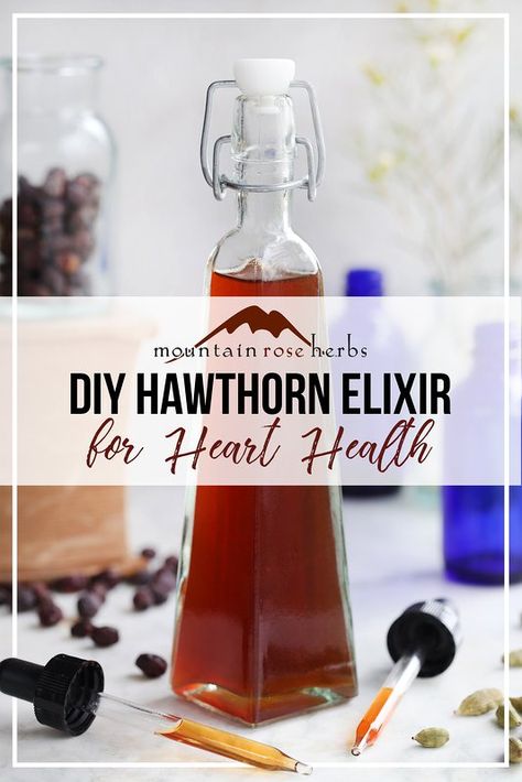 Homemade Hawthorn Berry Elixir for the Heart Health Tinctures Recipes, Hawthorn Berry, Mountain Rose Herbs, Mountain Rose, Dried Berries, Herbal Tinctures, Herbal Recipes, Herbal Healing, Health Desserts