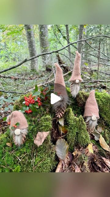 Nature Gnomes Diy, Woodland Gnomes Diy, Diy Fall Gnome Wreath, Diy Fall Gnomes, Diy Woodland Gnome, Fall Gnome Wreath With Leaves, September 28, Instagram Diy, Christmas Diy