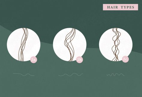 hair type type 2 Type 2c Hair, Type 2b Hair, Type 2a Hair, Hair Type Chart, 2a Hair, Hair Plopping, Conditioner Curly Hair, Scrunched Hair, High Porosity Hair