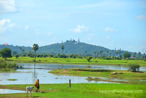 Travel Landscape Photography, Agriculture Future, Landscape Reference Photos, Vietnam Landscape, Rural Photography, Best Landscape Photography, Landscape Reference, Watercolor Art Landscape, Landscape Painting Tutorial