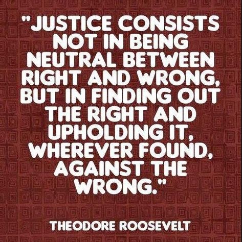 It's time to stand firm, and fight back for the sake of election integrity, not just for President Trump, but for all future elections. United, we can fight back. It is not just a Republican issue, it should be for both parties, if integrity, and justice are part of your conscious. Social Justice Quotes, Justice Quotes, Law Quotes, Right And Wrong, Theodore Roosevelt, People Quotes, What’s Going On, Quotable Quotes, A Quote