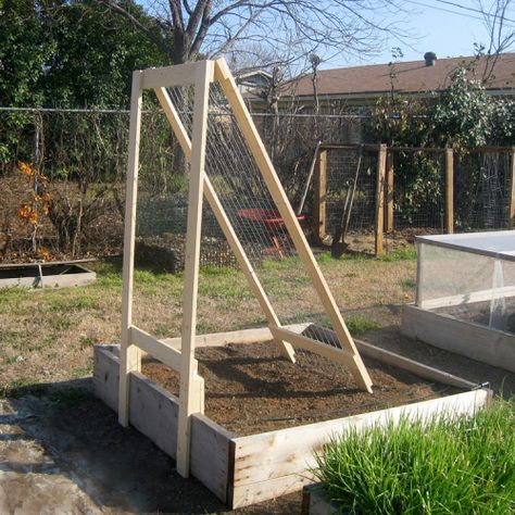 A Frame Trellis, Veggie Trellis, Chicken Wire Projects, Raised Bed Frame, Longbob Hair, Cucumber Trellis Diy, Wire Projects, Cucumber Trellis, Diy Trellis