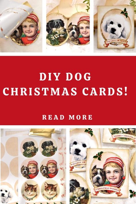 Make some adorable DIY Dog Christmas Cards with this tutorial and a free Printable Card making kit as well! These lovely Handmade Holiday Cards are perfect for your pets! Dog Christmas Card Ideas, Diy Dog Christmas, Handmade Holiday Cards, Dog Christmas Cards, Graphic Fairy, Pet Christmas Cards, Printable Dog, Christmas Card Ideas, Holiday Cards Handmade