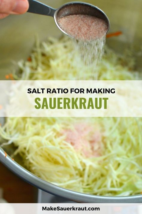 Saurkraut Recipes Diy, Saurkraut Recipes Homemade, Sour Crout, Fermented Vegetables Recipes, Making Sauerkraut, Best Salt, Fermented Sauerkraut, Sauerkraut Recipe, Homemade Sauerkraut