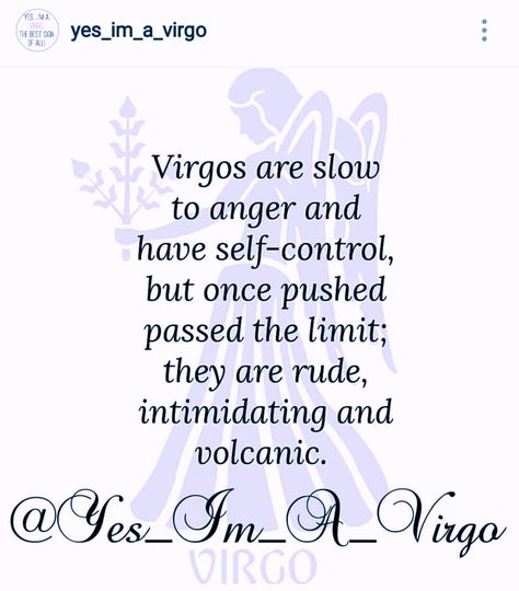 “Jk. I don’t drink. I have self control. Unless you’re not white, Rosie O’Donnell, or an internet troll”~ Virgos, probably Virgo Anger, Virgo Personality Traits, Virgo Libra Cusp, All About Virgo, Virgo Personality, Virgo Memes, Virgo Girl, Virgo Traits, Virgo Love