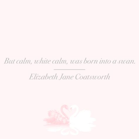 swan | grace | beauty | quote White Swan Mindset, Angelic Affirmations, Coquette Quotes, Widgets Pink, Swan Icon, Swan Quotes, Vision Collage, White Coquette, Beauty Quote