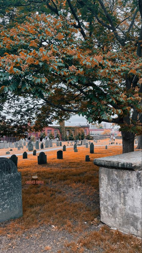 Spooky cemetery in Salem Massachusetts #cemetery #salem #spooky #halloween Autumn In Salem, Salem Massachusetts Halloween Aesthetic, Salem During Halloween, Salem Halloween Aesthetic, Salems Lot Aesthetic, Halloween In Salem Ma, Salem Core, Salem Massachusetts Aesthetic, Salem Aesthetic