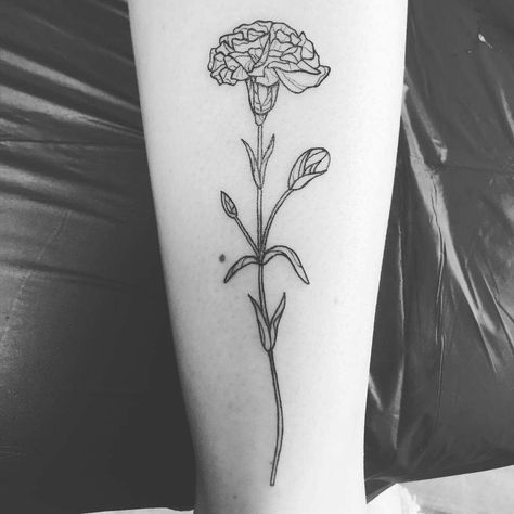 Top 33 Best Carnation Tattoo Ideas -[2021 Inspiration Guide] Carnation Tattoos, January Birth Month Flower, Carnation Flower Tattoo, January Flower, Carnation Tattoo, Pretty Flower Tattoos, Tattoo Black And White, Traditional Tattoo Flowers, Tattoos Black