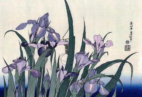 Illustration Botanique, Art Asiatique, Katsushika Hokusai, Japon Illustration, Japanese Embroidery, Japanese Flowers, Art Japonais, Art Et Illustration, Japanese Woodblock Printing