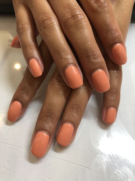 Apple cider by dnd 💅🏽 #gelnails #dnd #gelmani #gelpolish #gelcolor @dndgel Beautiful Fingers, Beauty Maintenance, Maintenance Routine, Cute Nail Colors, Opi Nail Colors, Pedicure Ideas, Dnd Gel Polish, Fall Gel Nails, Vintage Nails