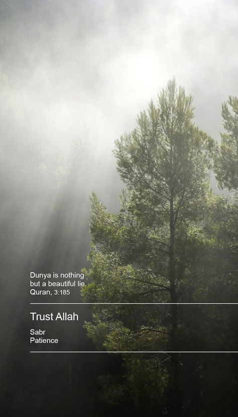 Make a trust on Allah Sabar Wallpaper, Islamic Remainder, A Beautiful Lie, Trust Allah, He Loves Us, Professional Profile, Allah Wallpaper, Islamic Quotes Wallpaper, How He Loves Us