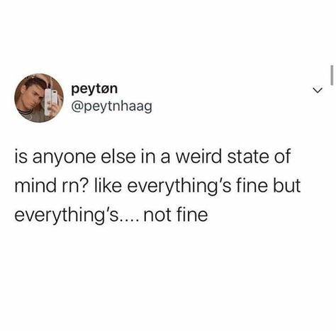 Everything is fine but also everything is not fine Memes Of The Day, Jumping For Joy, Everything Is Fine, Nalu, Daily Memes, Deep Thought Quotes, State Of Mind, Real Quotes, Fact Quotes