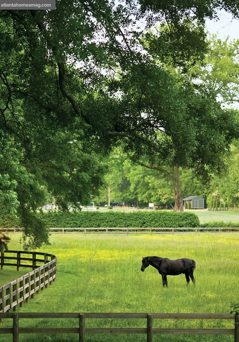 Pastoral Pleasures - Atlanta Homes and Lifestyles Castle Stables, Dollhouse Windows, Horse Arena, Summer View, Country Squire, Dream Farm, Future Farms, House Window, Horse Ranch