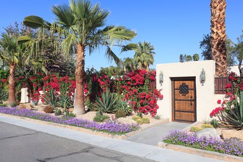 Garden Sample Post: Low-Water, Cost-Effective Landscape for 3 Climates | Verblio Indoor Topiary, Drought Resistant Landscaping, Drought Tolerant Landscape, Desert Garden, Palm Springs California, Desert Plants, Garden Borders, Cactus Garden, Bougainvillea