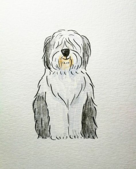 Illustration Art Dog, Sheepdog Tattoo, Dog Illustration Art, 강아지 그림, Art Watercolour, Animal Illustrations, English Sheepdog, Old English Sheepdog, Painting Artist