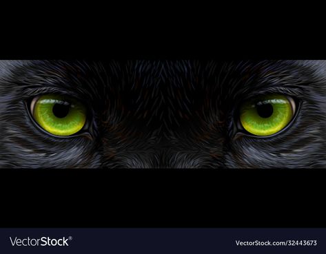 Panther Eye Tattoo, Black Panther Eyes Tattoo, Panther Eyes Tattoo, Black Panther Eyes, Jaguar Eyes, Panther Eyes, Hood Tattoos, Forearm Cover Up Tattoos, Leopard Eyes