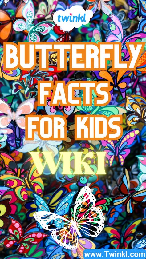 Butterfly Facts For Kids Wiki Butterfly Facts For Kids, Kids Facts, Butterfly Facts, About Butterfly, Butterfly Kids, Facts For Kids, Vocabulary Activities, Useful Information, Teach Kids