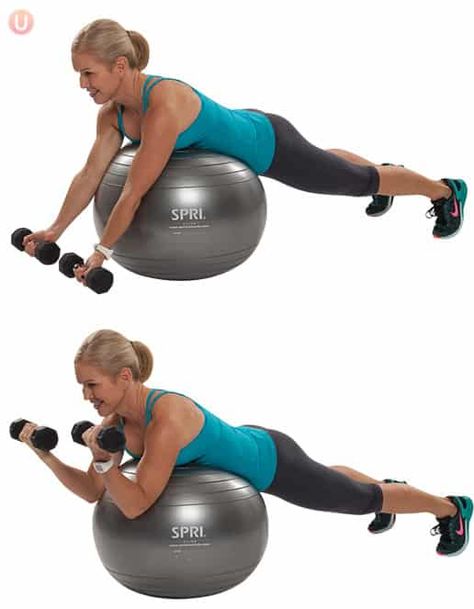 Stability Ball Workout, Chris Freytag, Stability Ball Exercises, Ball Workout, Preacher Curls, Exercise Ball, Stability Ball, Strong Muscles, Sciatica