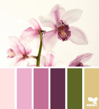 { orchid tones } Colouring Palette, Colour Recipe, Heirloom Carrots, Spring Palette, Orchid Color, Flower Colors, Color Palate, Design Seeds, Color Spectrum