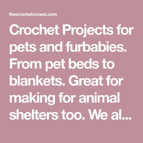 Crochet Projects for pets and furbabies. From pet beds to blankets. Great for making for animal shelters too. We also have crochet pet coats. Crochet Pet Patterns, Chair Socks Pattern, Pet Bed Pattern, Paw Print Pillow, Chair Socks, Dog Coat Pattern, Messy Bun Hat Crochet, Crochet Pet, Crochet Messy Bun