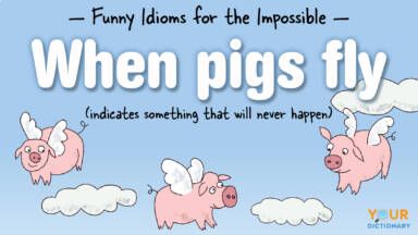 Maybe when pigs fly, we'll all understand every single idiom in the world. Until then, start with baby steps and learn some of the more popular ones! When Pigs Fly Quotes, Funny Idioms, When Pigs Fly, Lose 25 Pounds, Lightning In A Bottle, Pigs Fly, Flying Pig, Figurative Language, Winning The Lottery