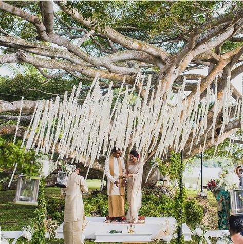 Arch Structure, Garden Party Bridal Shower, Wedding Planning Decor, Wedding Function, Wedding Deco, Garden Party, Bridal Shower, Wedding Planning, Arch