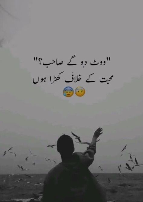 Bee Scrapbook, 2 Line Quotes, Sarcastic Words, Love Poetry Images, Quotes In Urdu, Urdu Love Words, Feelings Words, Beautiful Love Quotes, Poetry Inspiration