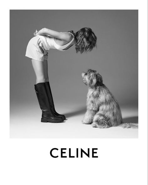 Celine Campaign, Dog Photoshoot, Super Rich Kids, Kaia Gerber, Black And White Portraits, White Dogs, Dog Photography, Dog Life, Animal Photography