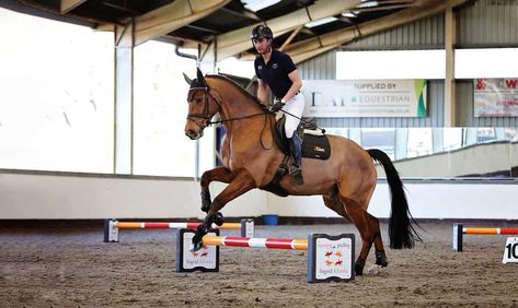 Cavaletti Exercises, Horse Jumping Exercises, Horse Riding Attire, Jumping Exercises, Equestrian Helmets, Equestrian Helmet, Horse Inspiration, Types Of Horses, Horse And Rider