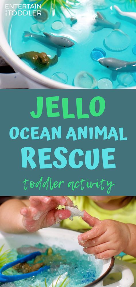 This was such a fun activity to do with my toddler and preschooler using Jello and some aquatic animal toys. See what we did to set up this simple, yet exciting toddler activity! #entertainyourtoddler #toddler #toddleractivities #indooractivities #Jello #toys #preschooler #learningthroughplay #playbasedlearning #parenting #sensoryplay #sensory Water Ideas, Indoor Activities For Toddlers, Activity For Toddlers, Easy Toddler Activities, Sensory Activities Toddlers, Toddler Sensory, Daycare Activities, Toddlers And Preschoolers, Animal Activities