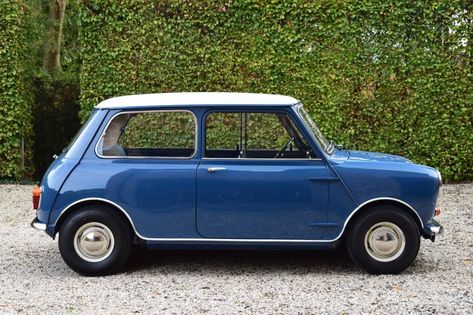 Mini Cars For Sale, Austin Mini, Roof Colors, Mini Classic, Mini Cooper S, Blue Island, Blue Interior, British Cars, Mini Cars