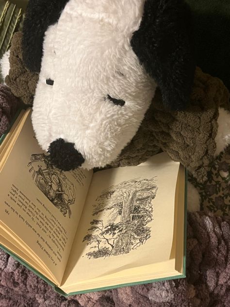 Snoopy Reading, Snoopy Stuffed Animal, Snoopy Plush, Snoopy Pictures, Snoop Dog, Joe Cool, Snoopy Love, Reading A Book, Foto Ideas Instagram