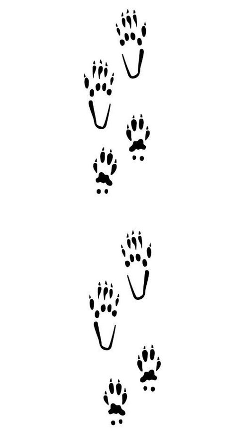 Raccoon Paws, Key Tattoo Designs, Bear Tracks, North American Animals, Animal Footprints, Nature Studies, Key Tattoo, Beaded Hat Bands, Spotted Animals