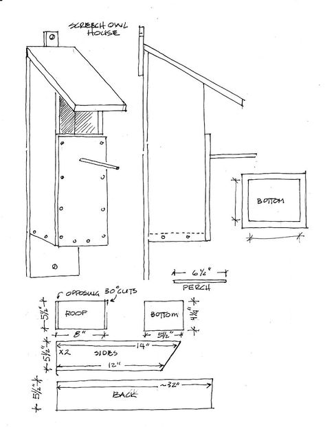 Owl House Plans, Bluebird House Plans, Bat House Plans, Martin Bird House, Martin Bird, Birdhouse Plans, Bird House Plans Free, Owl Box, Bat House