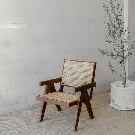 Rattan Chair Living Room, Boucle Chairs, Statement Chairs, Cane Furniture, Rattan Armchair, Indoor Chairs, Durable Furniture, Living Room Bench, Furniture Trends