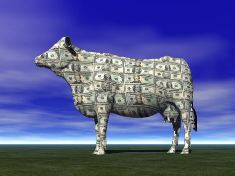 CASH COW SAVING RETIREMENT FINANCIAL PLANNING WEALTH MANAGEMENT INVESTMENT FUND , #affiliate, #WEALTH, #PLANNING, #MANAGEMENT, #FUND, #INVESTMENT #ad Retirement Financial Planning, Investment Fund, Cash Cow, Web Business, Earn Extra Money, Wealth Management, Financial Management, Money Cash, Financial Planning