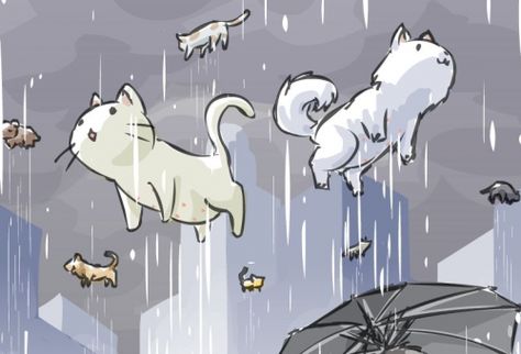 And As Long As It's Talking With You, Talk of the Weather Will Do Cat And Dog Drawing, Nerd Games, Raining Cats And Dogs, Walking In The Rain, Dog Images, Dancing In The Rain, Dog Drawing, Cats And Dogs, Cat Illustration