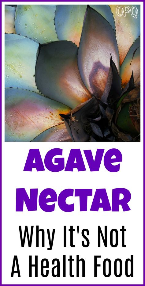 Is agave nectar healthy Baking With Agave Syrup, Uses For Agave Syrup, Agave Recipes Healthy, Blue Agave Recipes, Agave Nectar Benefits, Agave Syrup Benefits, Agave Benefits, Agave Syrup Recipes, Blue Agave Plant