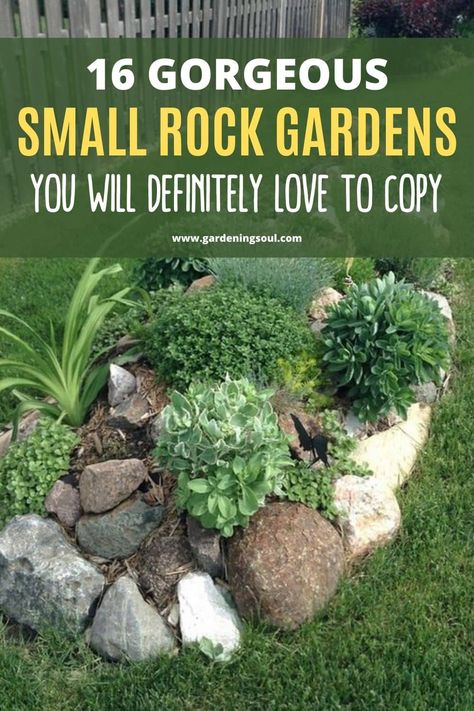 16 Gorgeous Small Rock Gardens You Will Definitely Love To Copy Small Garden Ideas Low Maintenance, Small Rock Garden, Small Rock Garden Ideas, Diy Rock Garden, Succulent Rock Garden, Rock Garden Ideas, Rockery Garden, Rock Garden Design, Rock Gardens