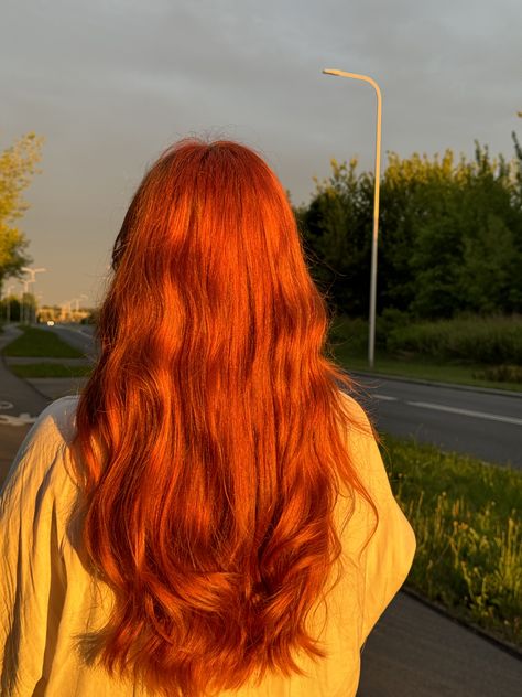 Witchy Hair, Shades Of Red Hair, Sunset Summer, Summer Hair, Shades Of Red, Red Hair, Palace, Long Hair Styles, Bts