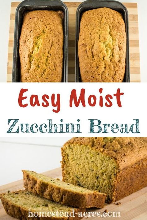 Zucchini Bread Easy, Frozen Zucchini, Easy Zucchini Bread Recipes, Moist Zucchini Bread, Easy Zucchini Bread, Best Zucchini Bread, Zucchini Bread Recipe, Bread Easy, Easy Zucchini