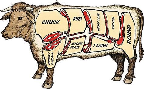 Cow illustration showing parts of beef Cow Meat, Buttered Noodles, Juniper Berries, Berries Recipes, Angus Beef, Butcher Shop, Beef Chuck, Beef Tenderloin, Beef Cuts