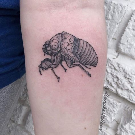 22 Cryptic Cicada Tattoo Designs and Where to Ink Them Cicada Shell, Cicada Tattoo, Cicada Art, Shell Tattoos, Bug Tattoo, Moth Tattoo, Public Restroom, Beautiful Bugs, Stick And Poke