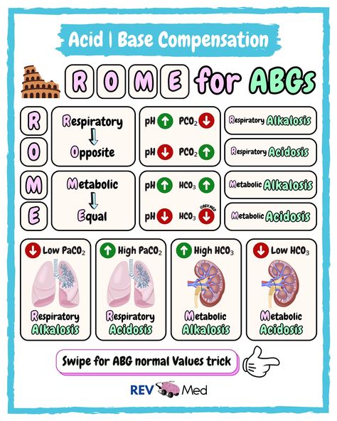 Respiratory Ventilation, Acidosis And Alkalosis, Bsn Nursing, Respiratory Alkalosis, Metabolic Alkalosis, Respiratory Disorders, Anatomy Medical, Nursing School Essential, Nurse Study Notes