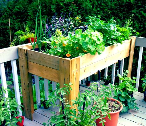 Herb garden Rolling Table, Table Garden, Gardens Ideas, Garden Herbs, Garden Porch, Backyard Fun, Herb Garden, Container Gardening, Stand Up