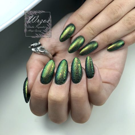 Snake Skin Nails Acrylic, Snake Skin Nails, Nails Green, Green Snake, Stiletto Nails Designs, Skin Nails, Stiletto Nails, Nails Acrylic, My Job