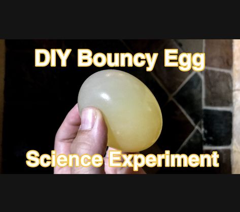 Egg Science Experiment, Egg Science, Bouncy Egg, Diy Science Experiments, Diy Science, Science Experiment, Simple Diy, Science Experiments, Easy Projects