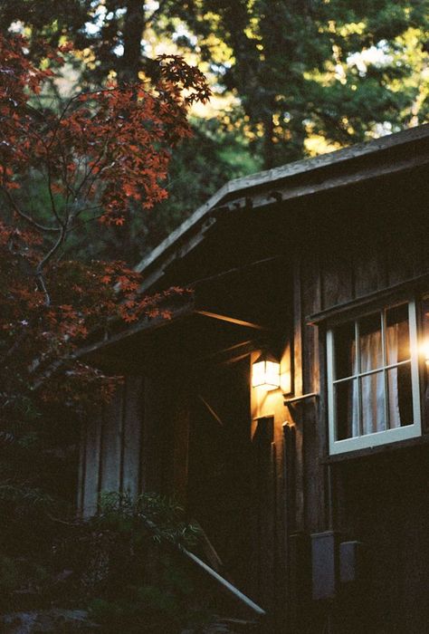 Cabin Aesthetic Exterior, Tiny Lakehouse, Moody Cabin, Aesthetic Exterior, Autumn Dark, Photo Mood, Cabin Aesthetic, Forest Cabin, Little Cabin